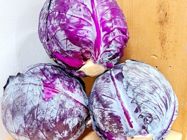 Cabbage Red (LOCAL/IMPORT)